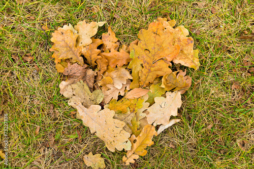 heart of autumn foliage
