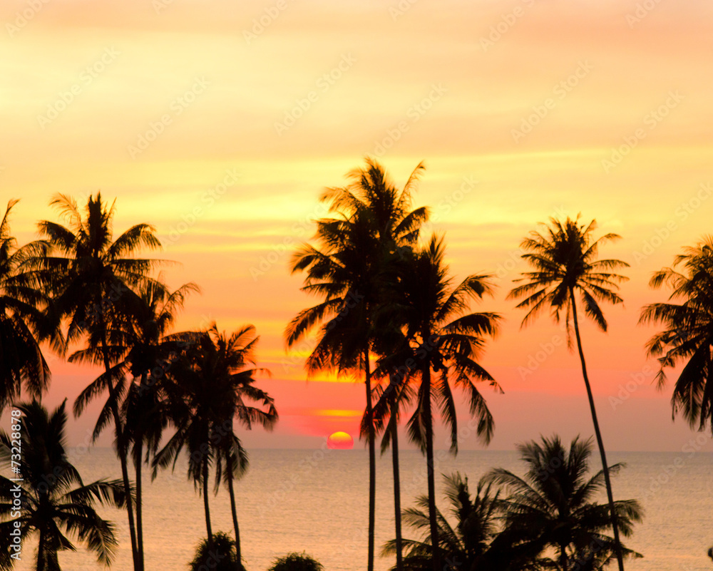 Palm Paradise Fiery Backdrop