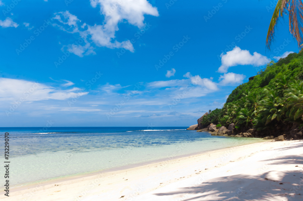 Fototapeta premium Dream Palms Bay