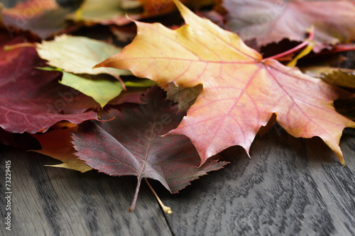 autumn leaves on old oak table