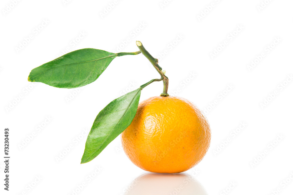 Orange fruit isolated