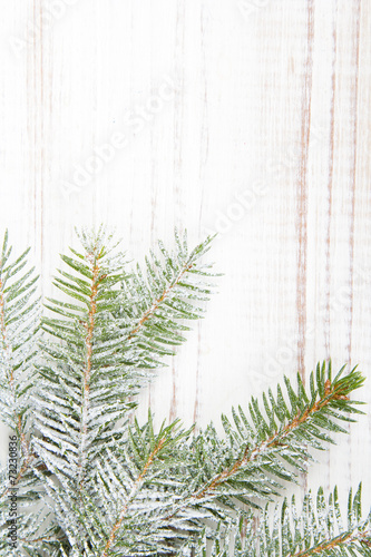 fir branches on a white wooden background