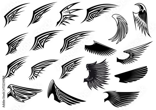 Set of heraldic bird wings