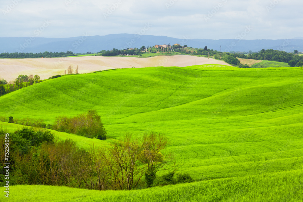 Green hills of Tuscany under the blue sky