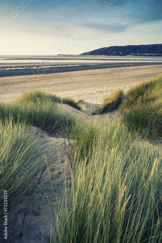 Summer evening landscape view over grassy sand dunes on beach wi