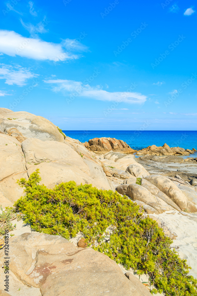 Rocks on sand dunes at Porto Giunco beach, Sardinia island