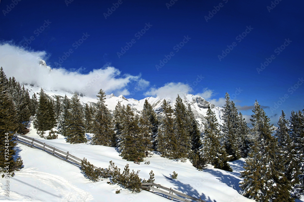 Alpine winter scene - sunny winter day in the mountains