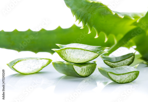 Aloe Vera leaves