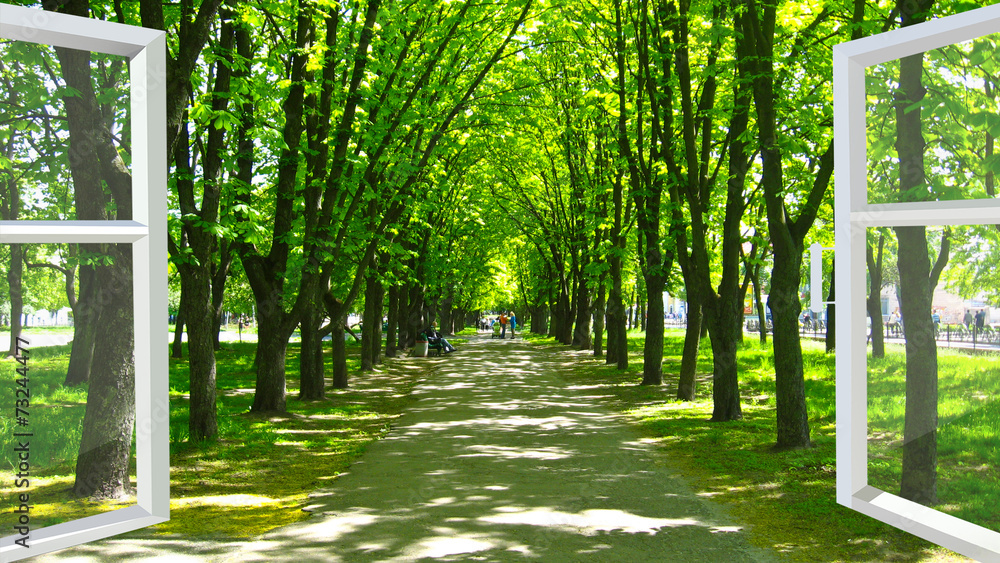 Fototapeta okno otwarte na piękny park z wieloma zielonymi drzewami