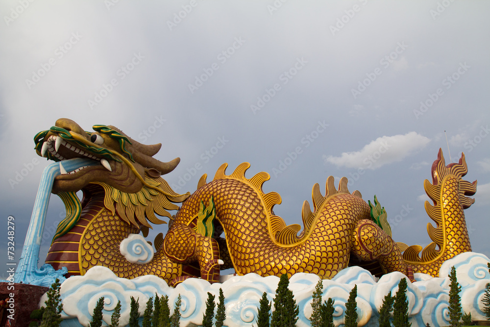 Fototapeta premium Dargon