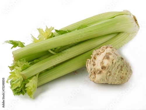 two kinds of celeries vegetables