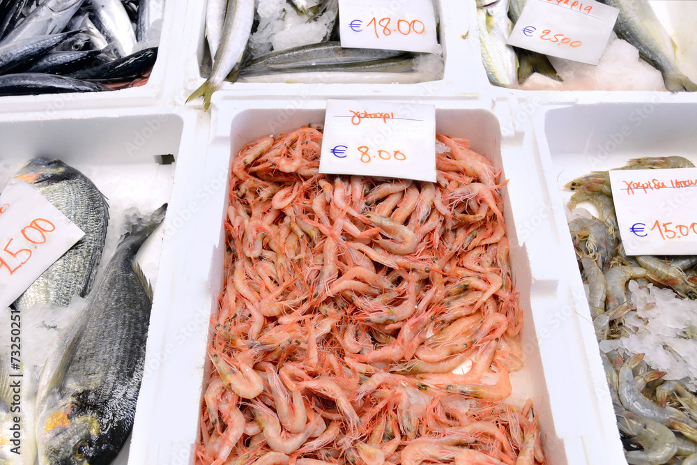 Fresh seafood in a Greek market Fresh seafood in a Greek market