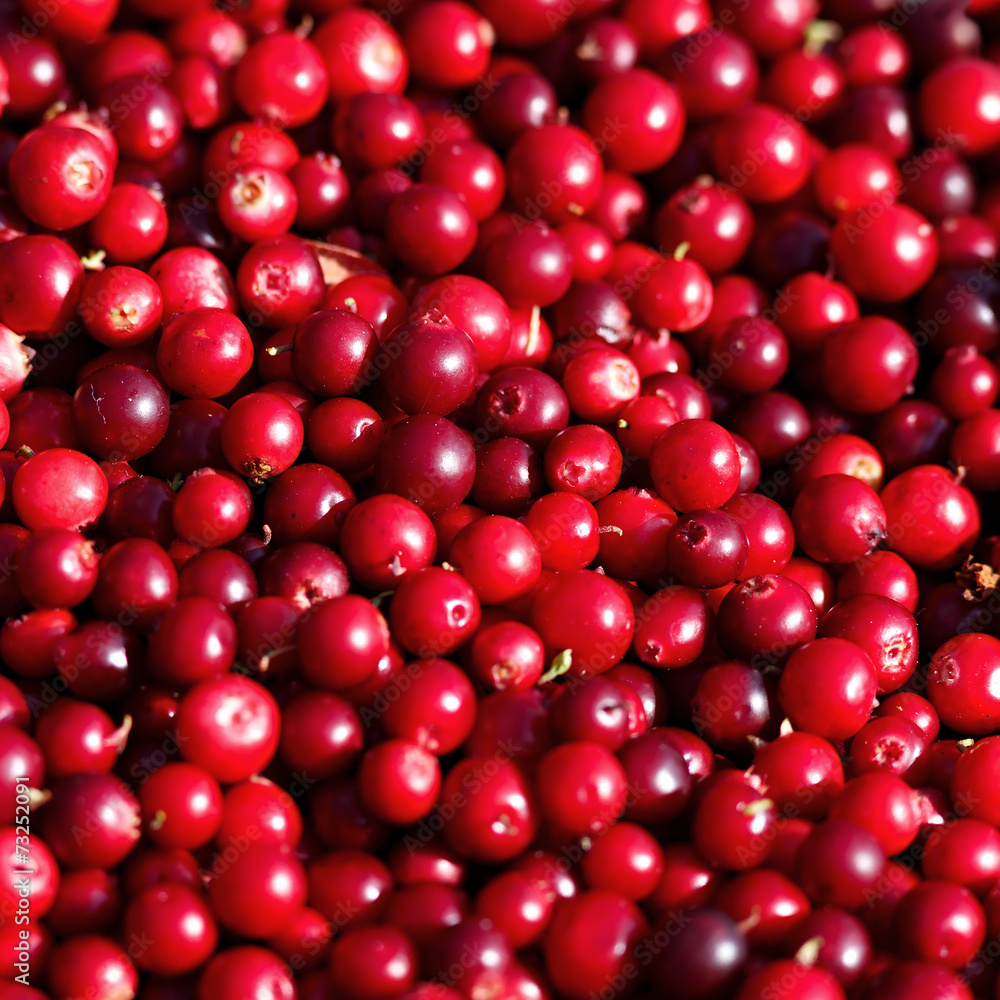 Ripe cranberries for background Ripe cranberries for background
