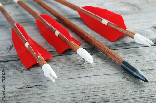 Obraz na płótnie Wooden archery arrows with plastic nocks closeup