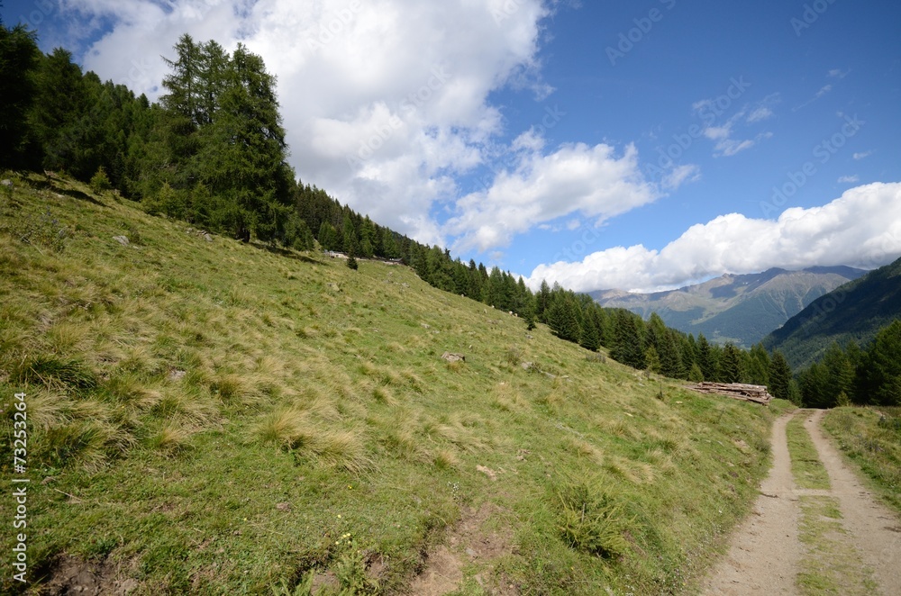 Fototapeta premium montagna