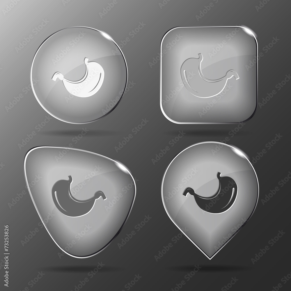 Stomach. Glass buttons. Vector illustration. Stomach. Glass buttons. Vector illustration.