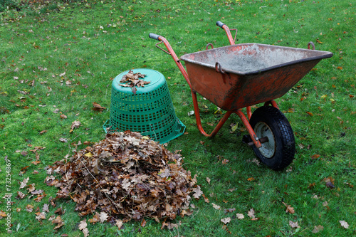 Wheel barrow and leafes