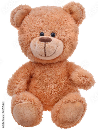 Fotografie, Obraz brown teddy bear