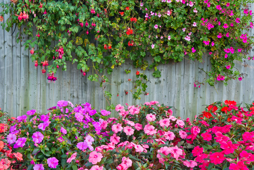 Fototapeta premium wooden fence with flowers