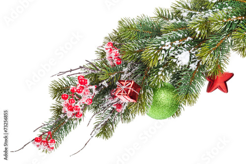 Christmas snow fir tree branch with holly berry and decor