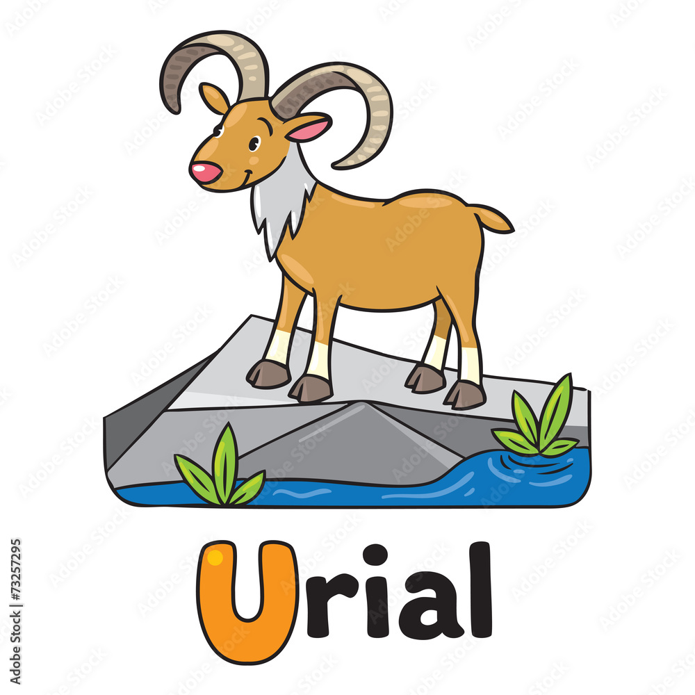 Little funny urial or ram, for ABC. Alphabet U Little funny urial or ram, for ABC. Alphabet U