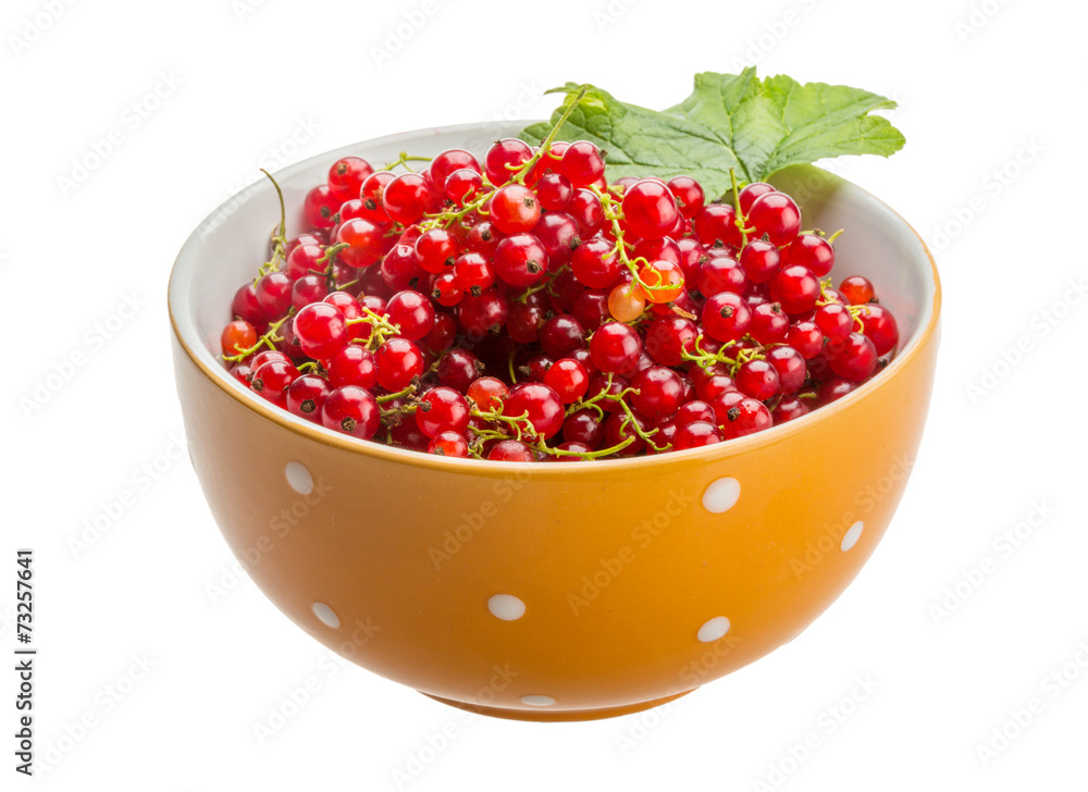 Red currant Red currant