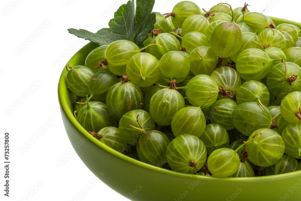 Gooseberry Gooseberry