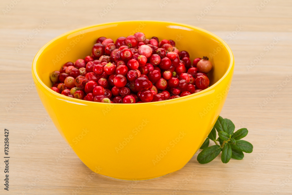 Cowberry Cowberry