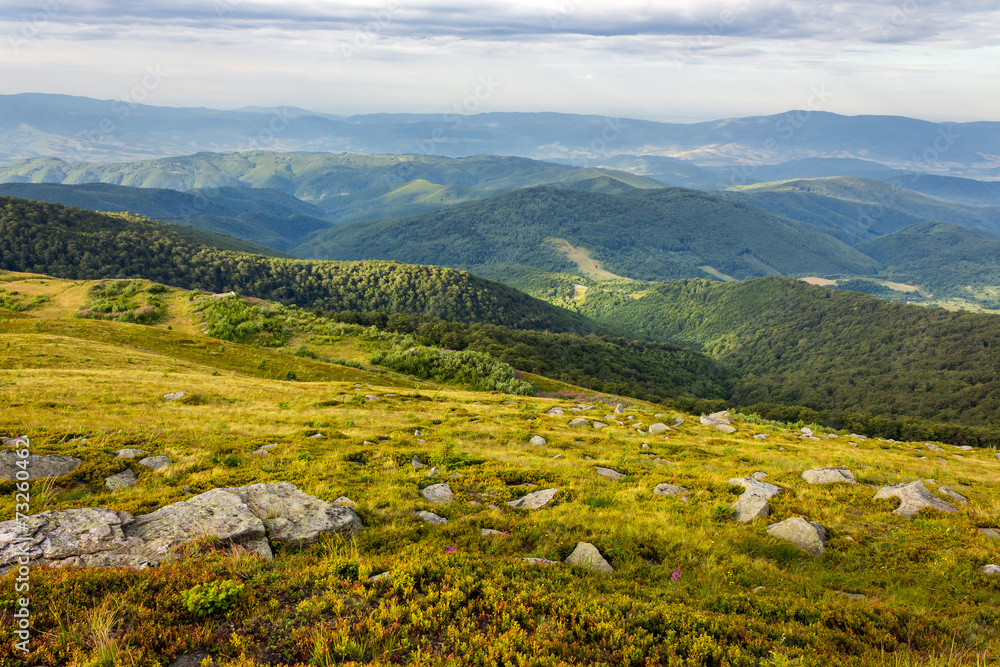 Naklejka premium stones on the hillside