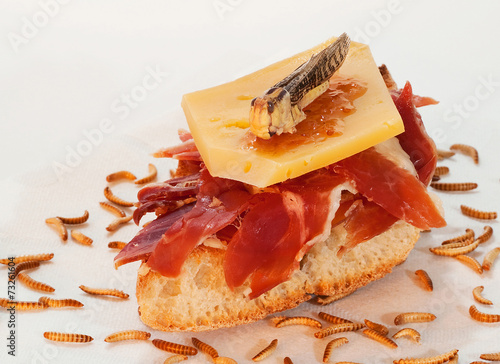 Serrano ham on toast with cheese and eatable cricket.