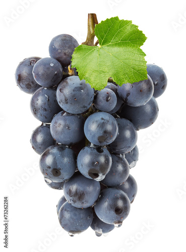 purple grape isolated on the white background
