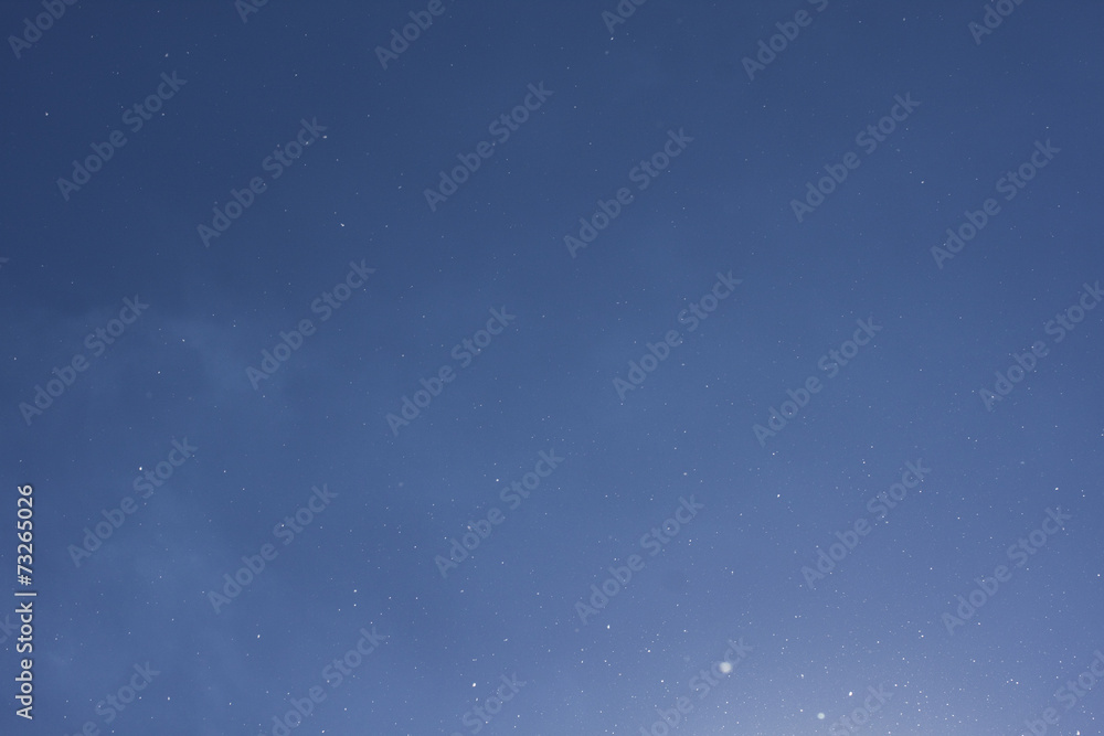 Obraz premium Blütenstaub in der Luft