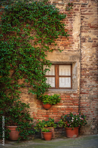 Window with plant