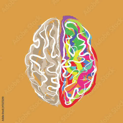 Creative brain with color strokes vector