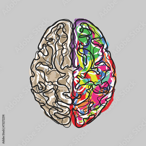 Creative brain with color strokes vector