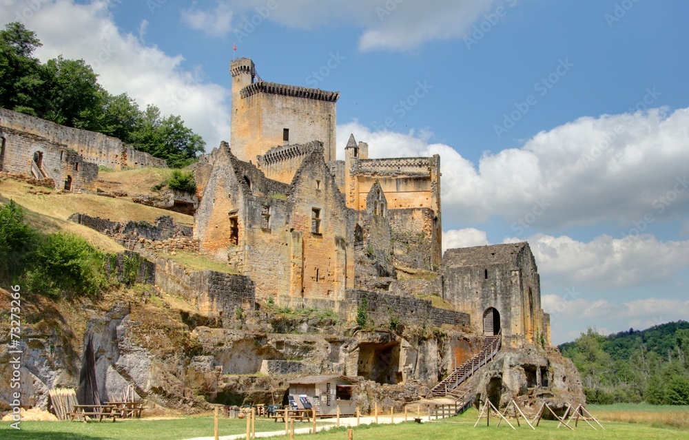 chateau dans le perigord chateau dans le perigord