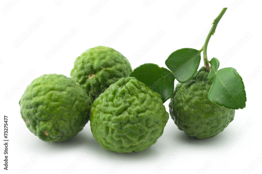bergamot bergamot