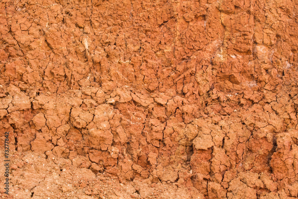 The soil on the slope