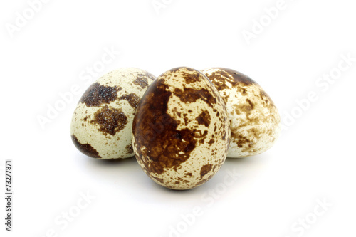 Three brown quail eggs
