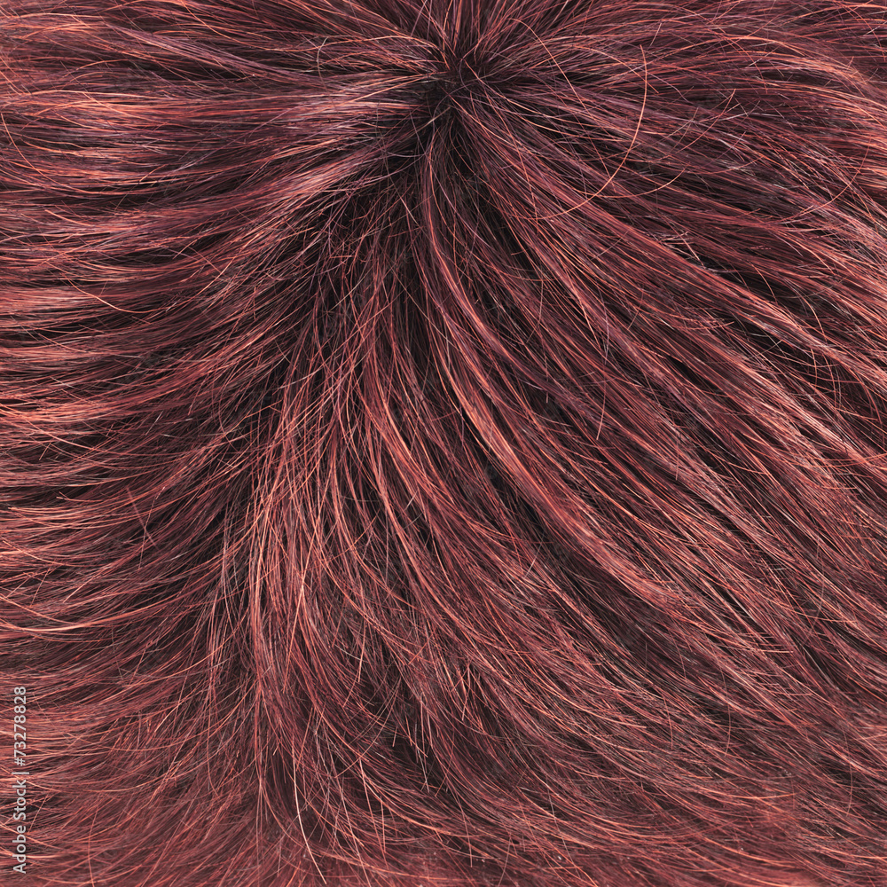 Fototapeta premium Hair fragment as a background composition