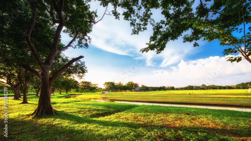 Fototapeta Naklejka Na Ścianę i Meble -  City park with green lawn and some trees