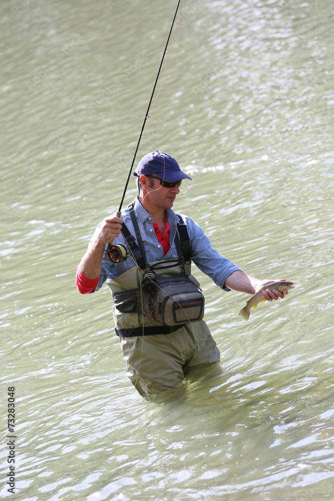 Fly fisherman catching a fario trout in river Fly fisherman catching a fario trout in river