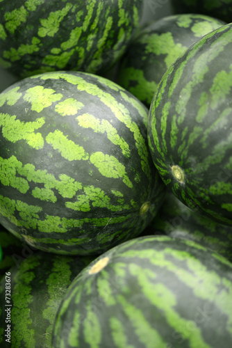 과일 수박이미지