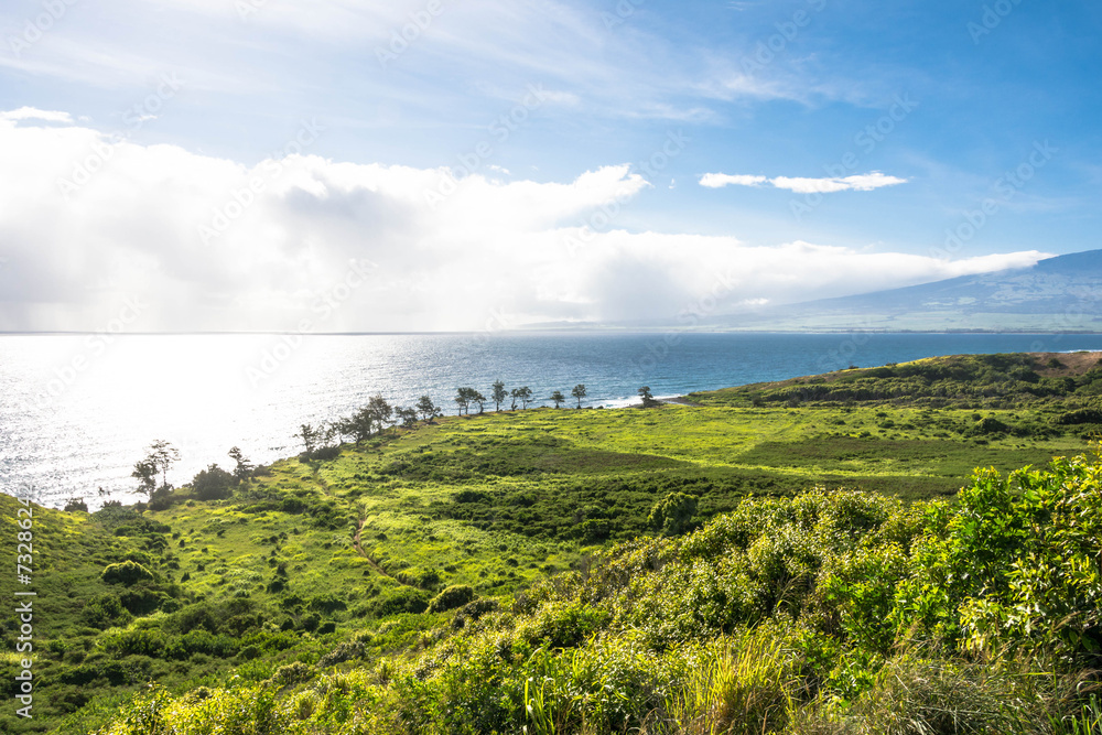 The coast of North West Maui, Hawaii