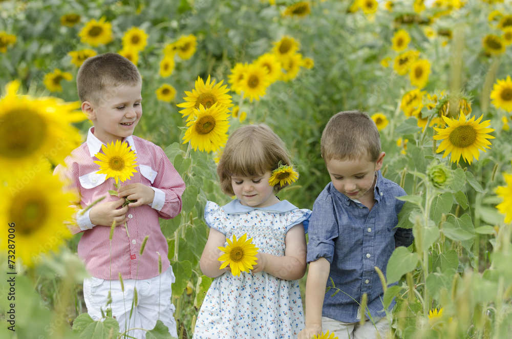 Kids playing in a sunflower field