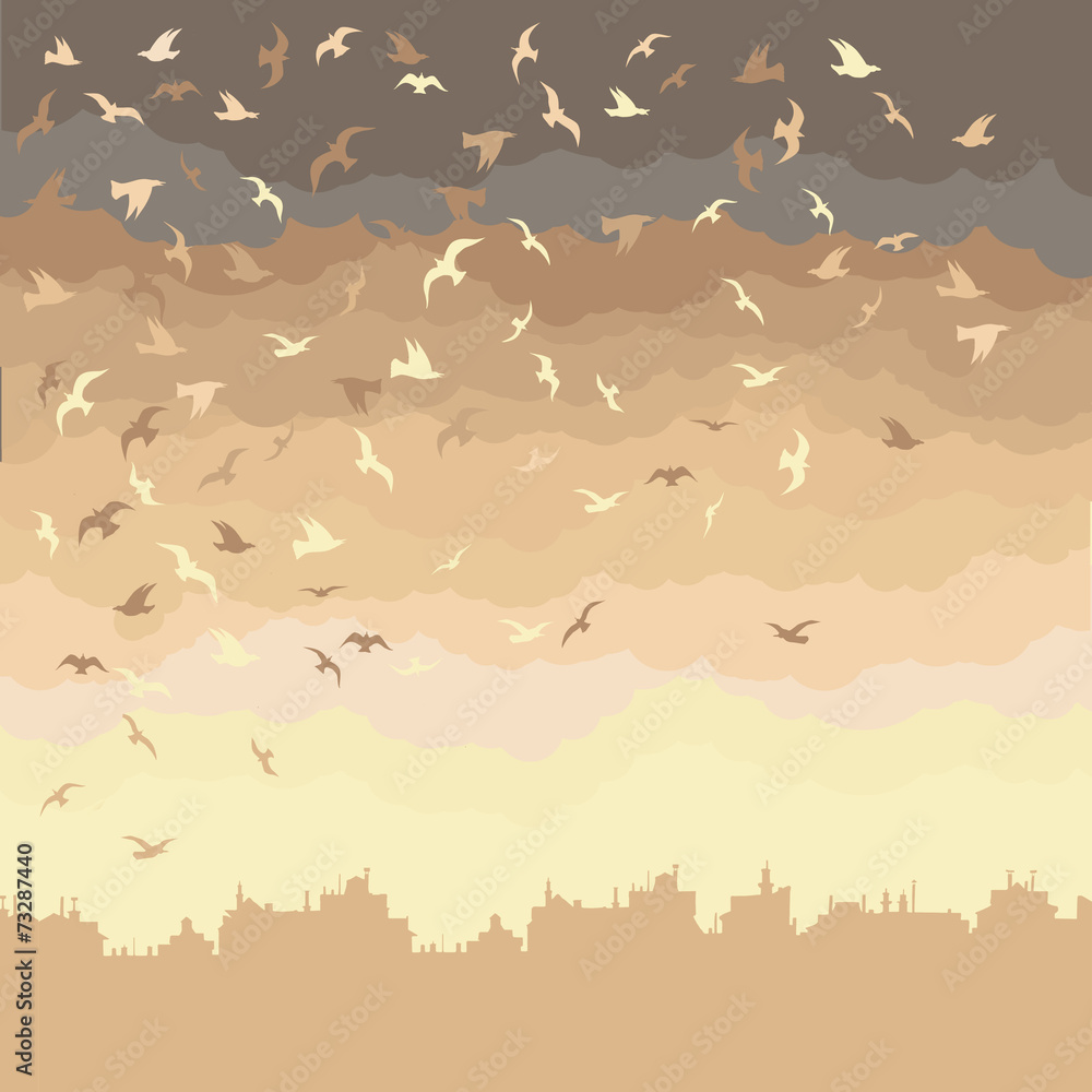 Background image with black and white birds Background image with black and white birds