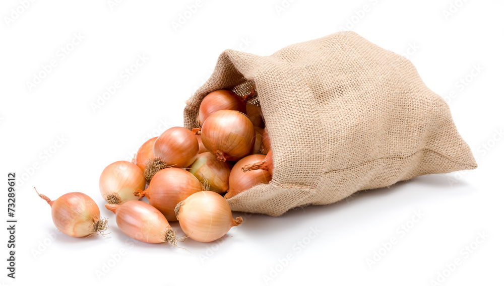 Yellow onions in burlap bag