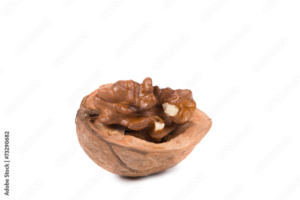 Obraz premium Cracked walnut