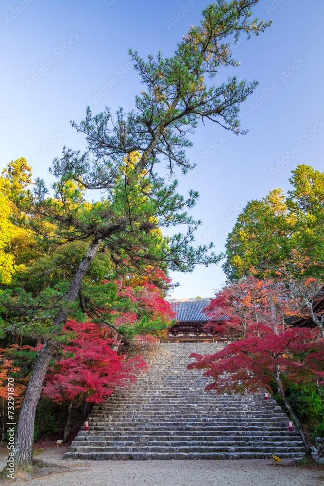秋の神護寺 秋の神護寺
