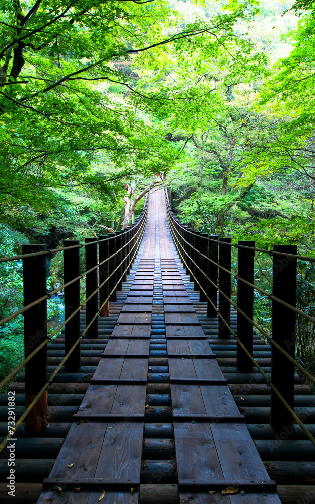 Fototapeta premium Shiomi Falls Suspension Bridge